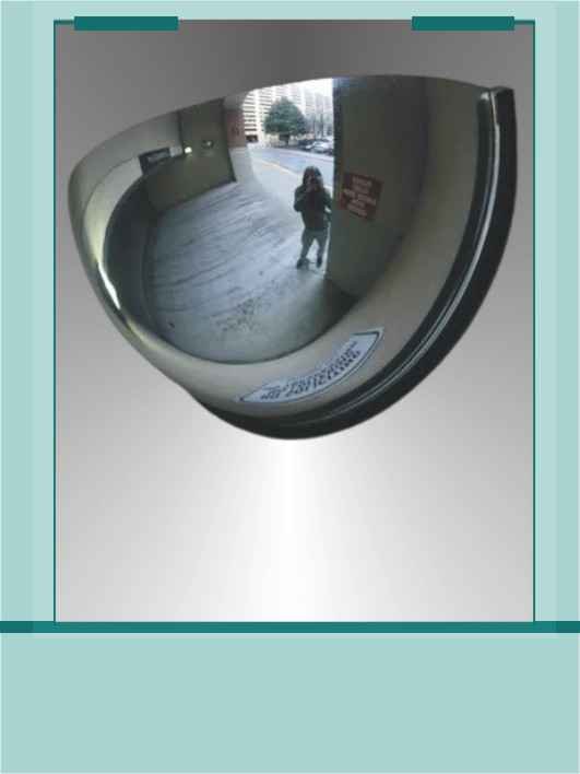 800mm-l-corner-guard